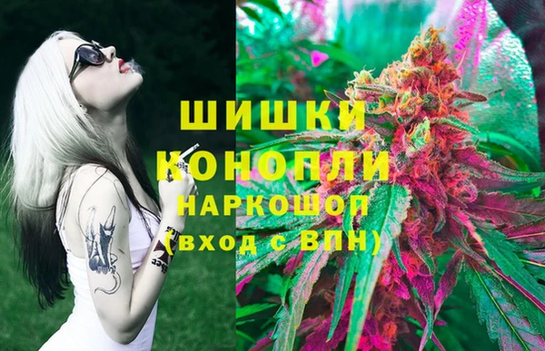 apvp Алзамай