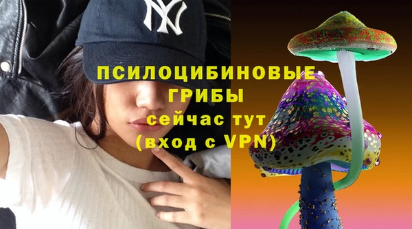 apvp Алзамай