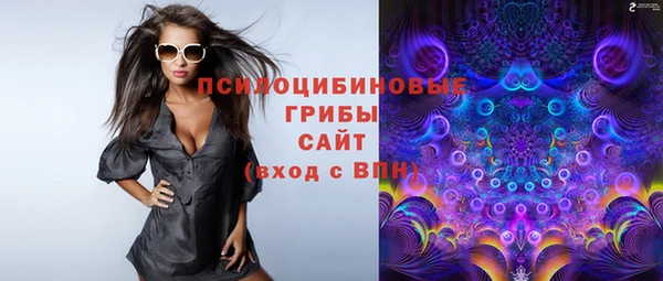 apvp Алзамай
