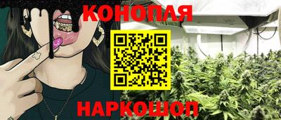 гашик Вышний Волочёк