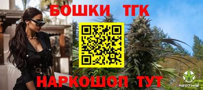 гашик Вышний Волочёк