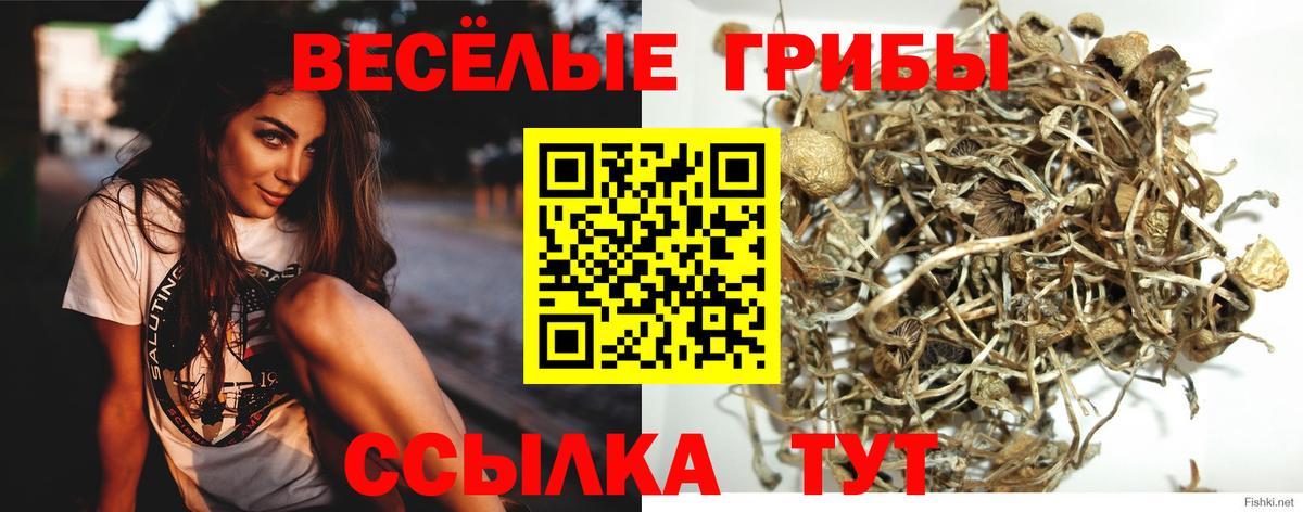 Галлюциногенные грибы прущие грибы Сибай